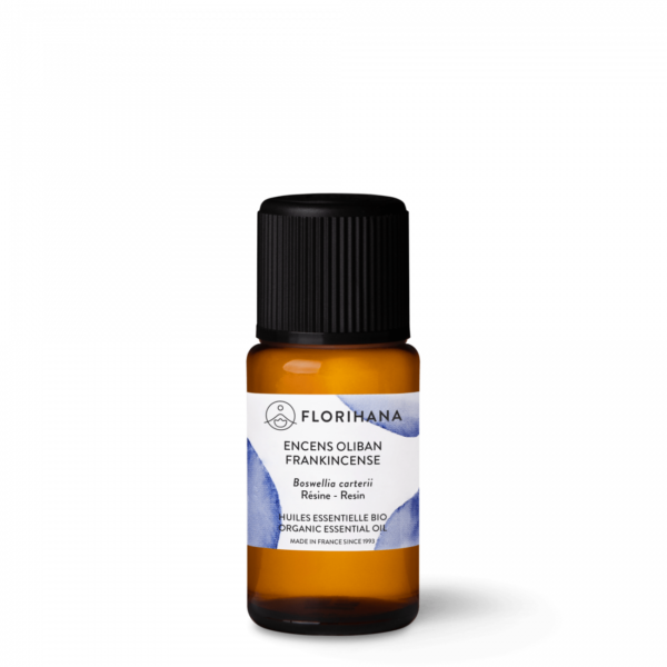 frankincense viirukipuu