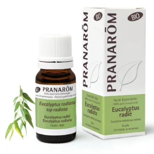Eukalüpt Radiata Bio eeterlik õli 10 ml
