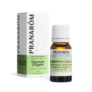 Geranium
